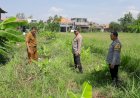 Polresta-Sidoarjo-|-Kapolsek-Sukodono-Tinjau-Lahan-Bumdes-Bangsri-Dukung-Program-Ketahanan-Pangan-Nasional