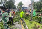Pohon-Tumbang-Timpa-Mobil-di-Buduran,-Polsek-Buduran-Gerak-Cepat-Lakukan-Penanganan