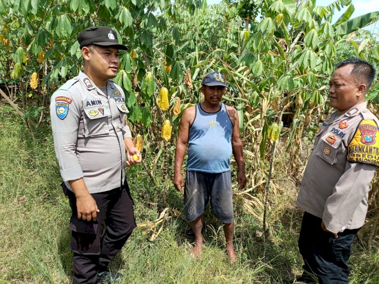 Kapolsek Tarik Maksimalkan Peran Bhabinkamtibmas Dampingi Warga Gerakkan Program Ketahanan Pangan